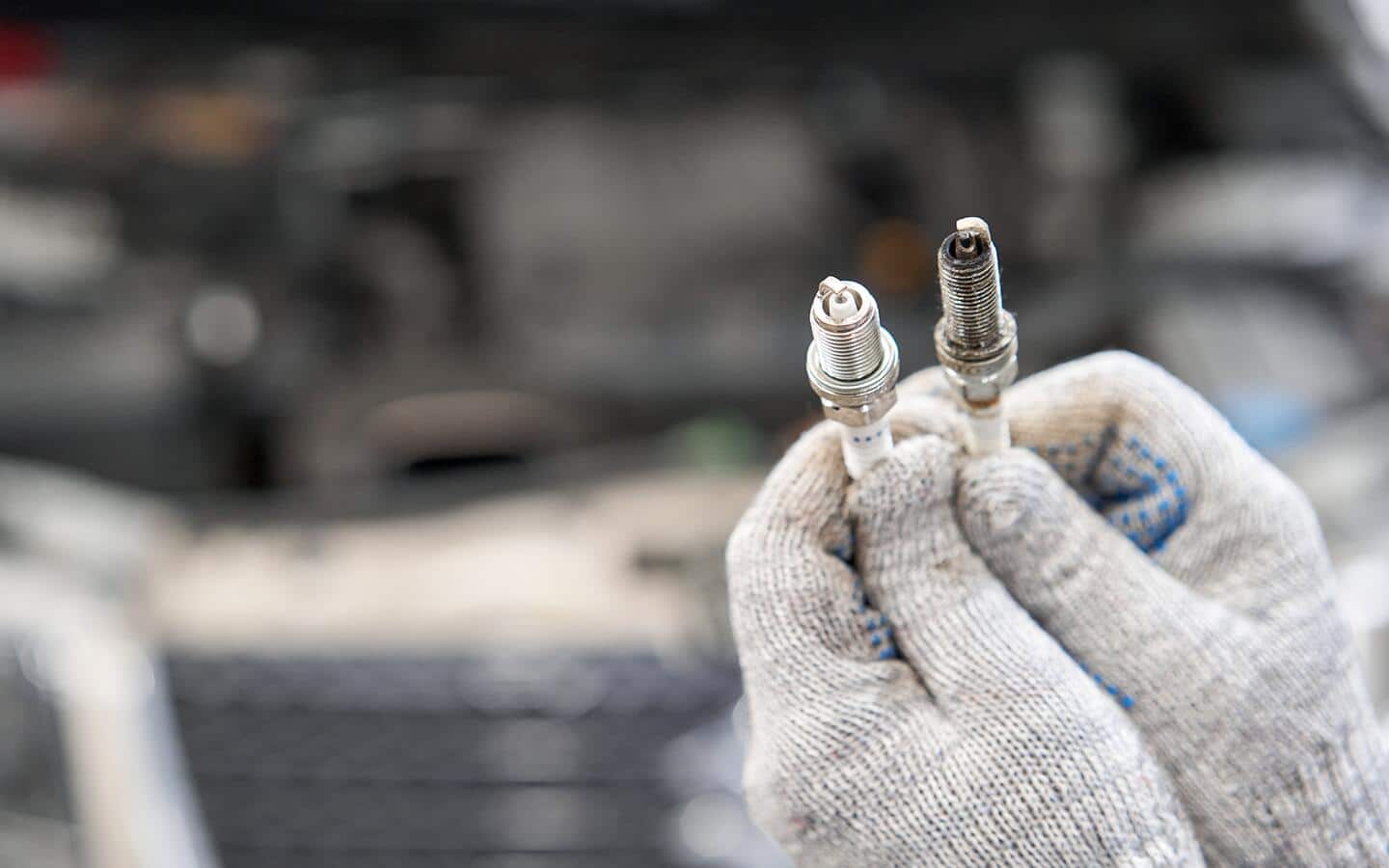 A person holds two spark plugs. 