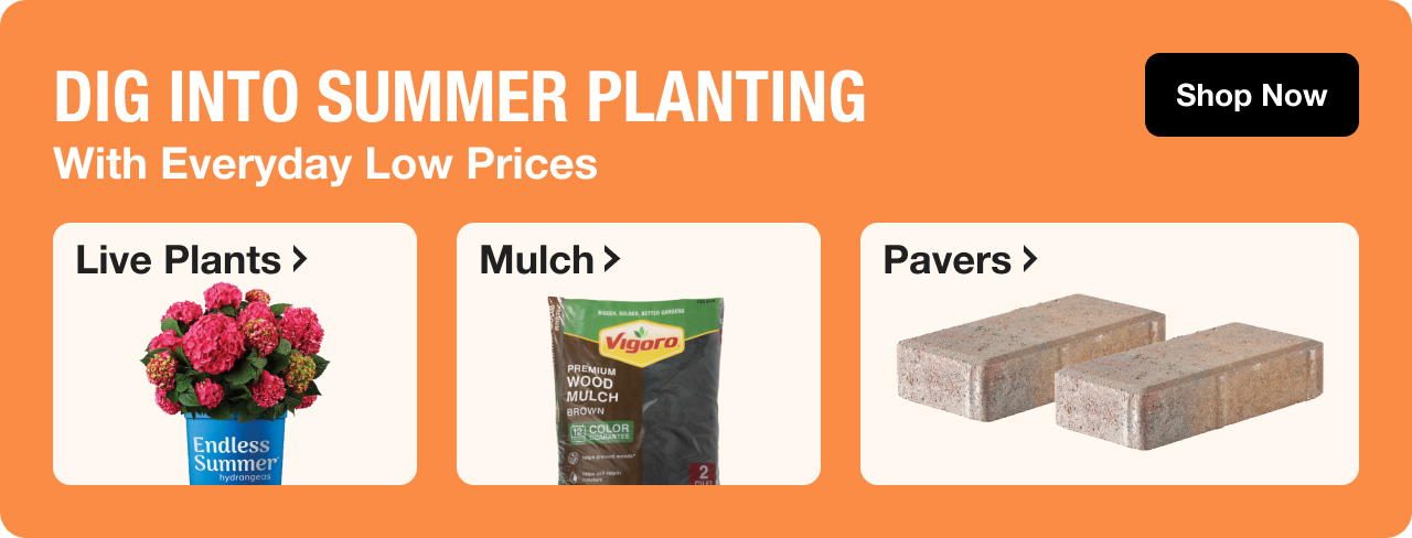 DIG INTO SUMMER PLANTING With Everyday Low Prices