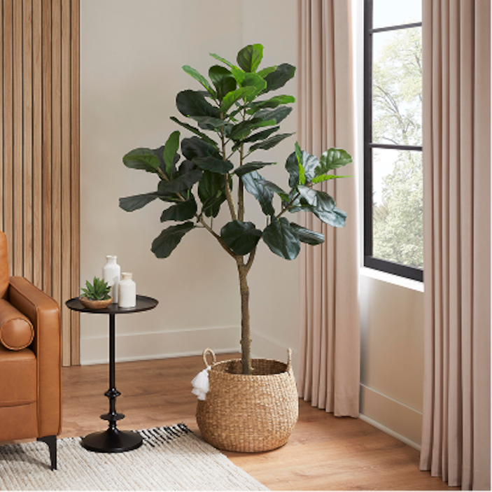 Decor