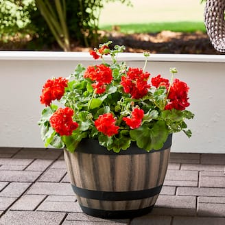 SUMMER DECOR Add Style to Your Outdoor Space