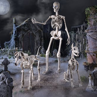 THE SKELLY FAMILY Meet Our Spooky New Additions