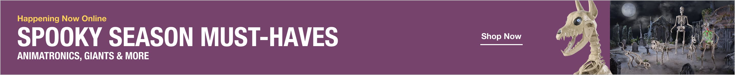 sponsored banner