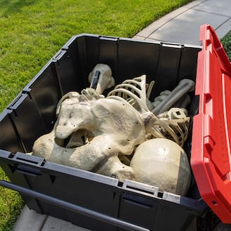 STORE BIG SCARES Exclusive Husky® Totes