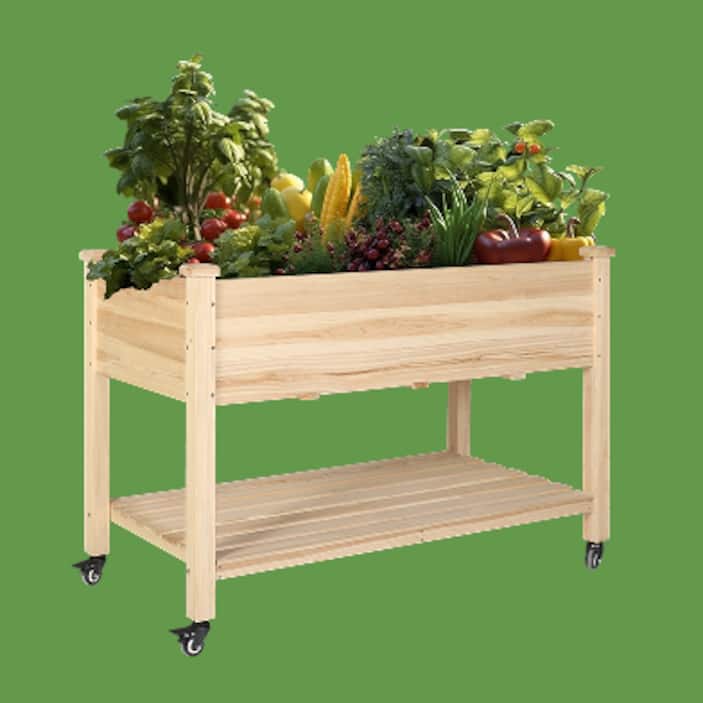 Garden Center