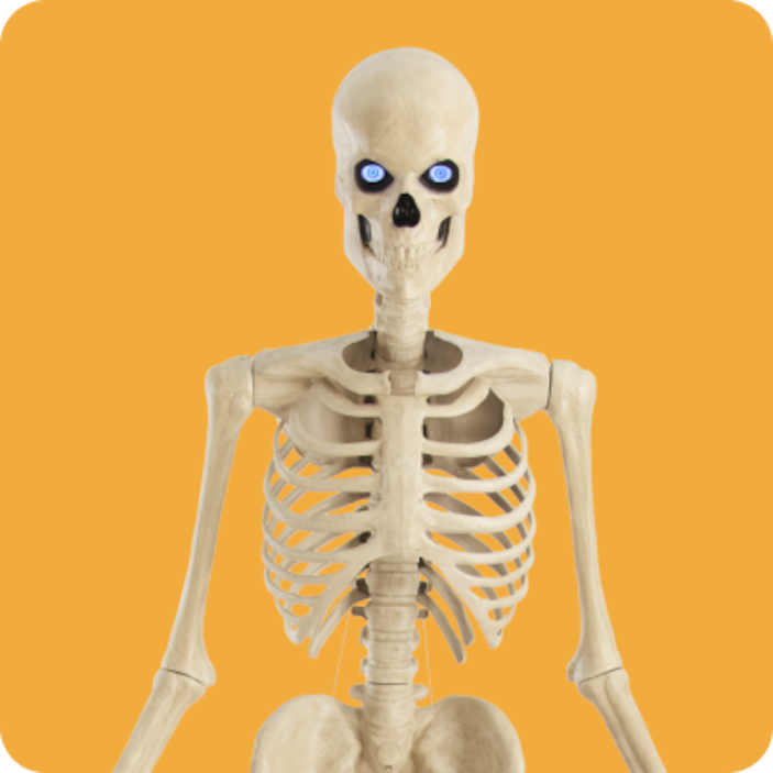 Halloween Decor