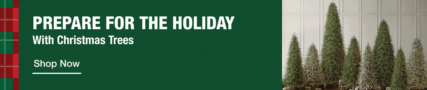 Prepare for the Holiday with Christmas Trees