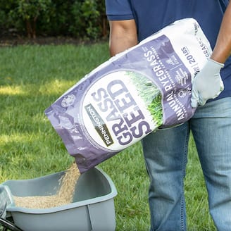 FALL-READY YARDS Grass Seed & More