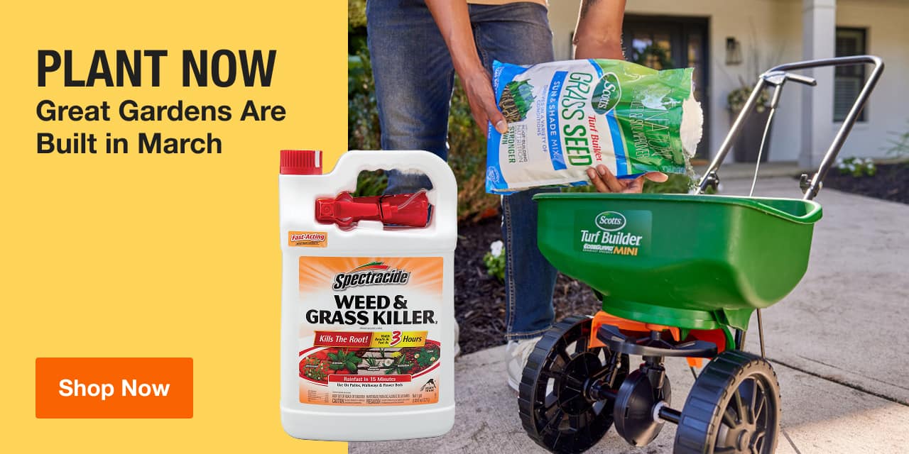 PLANT NOW Great Gardens Start in March