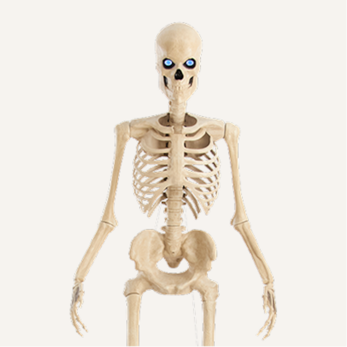 Halloween Decor