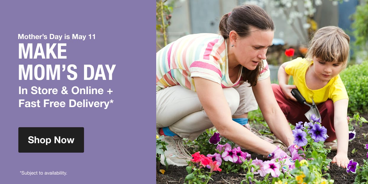 MAKE MOM'S DAY In Store & Online + Fast Free Delivery* (*Subject to availability)