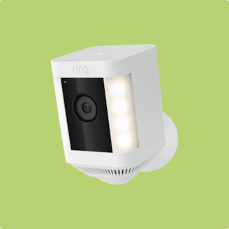 UP TO 20% OFF Select Online Outdoor Plants