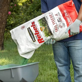 UP TO 30% OFF  Select Grass Seed