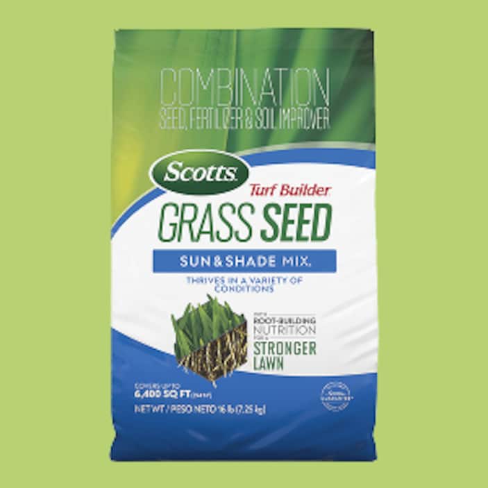 Grass Seed